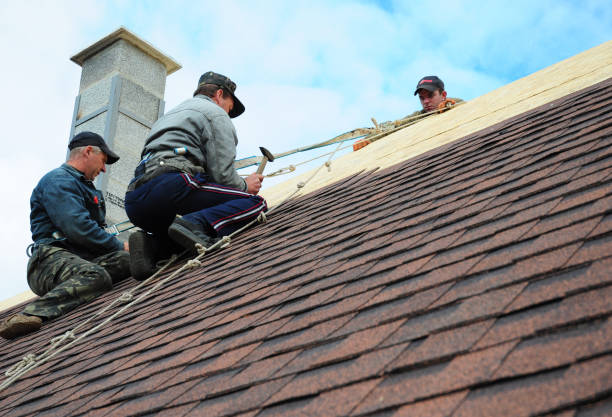 Best Residential Roofing Contractor  in Williston, ND